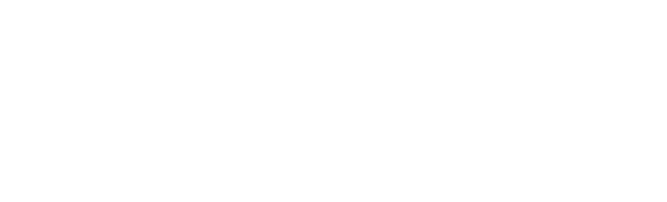 logo MAE